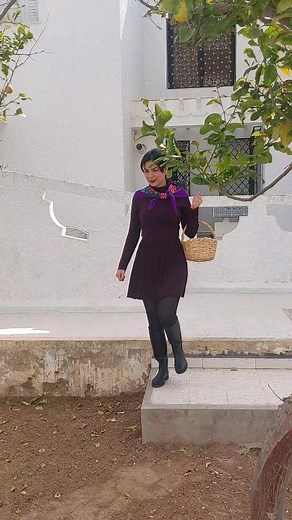 4.6K views · 775 reactions | شبتية ساحلية Photography: wafa kamoun #foodfotography#chebtiya #tunisienfood food #photographieculinaire | Wafa Kamoun | Facebook