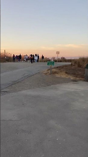 Sunset, Birdwatching & Nests! Bay Area Hike - Palo Alto Bayland Nature Preserve, CALIFORNIA USA Tour
