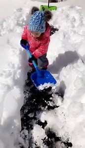 6K views · 118 reactions | Hard at work clearing the snow in Islip, Long Island via Candy Marie | Tri-State Weather | Facebook