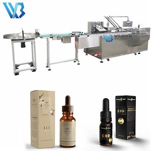 [Hot Item] High Speed Carton Box Packing Automatic Cartoning Machine