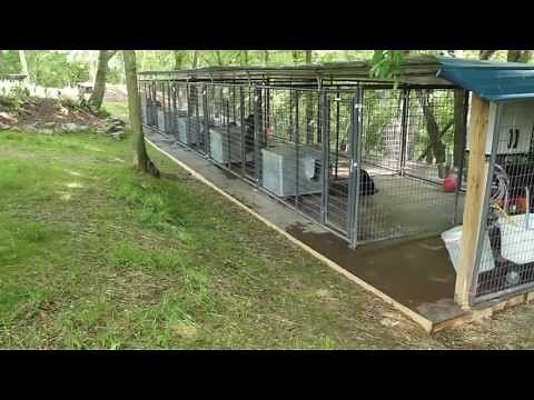 Rottweiler dog kennels Nashville Tennessee - Rottweiler breeders in TN - Rottweiler puppies