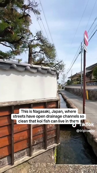 Exploring Japan's Immaculately Clean Streets