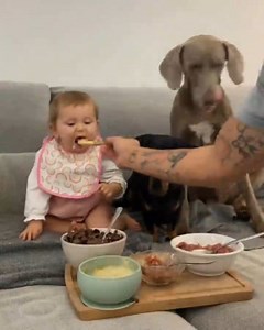 To license this content please click here: https://www.jukinmedia.com/licensing/view/1285471?utm_source=RMsocialpost&utm_medium=RMsocialpost | Jukin Copyright Management | Facebook