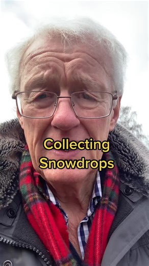 Snowdrop Collecting Tips and Insights for Garden Enthusiasts