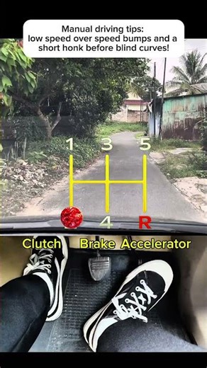 Manual driving tips: low speed over speed bumps and a short honk before blind curves! #zamendrive
