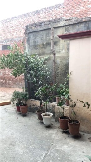 Na padhai hori na diet control😂(mini vlog33/100)#funnyvlog #relatable #minivlog #shorts #funwithad