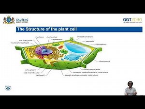 Life Sciences Grade 11