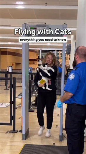 49K views · 295 reactions | How-To: Fly w/ Cats! Everything you need...