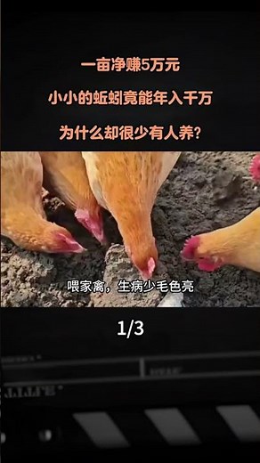 一畝淨賺5萬元，小小的蚯蚓竟能年入千萬，爲什麼卻很少有人養？ #漲知識#科普#保護動物 #內容啓發搜