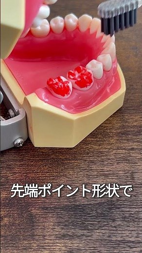 【歯ブラシ】おすすめ情報 「ソラデー替ブラシの特徴」 #ソラデー #soladey #歯ブラシ #スペアブラシ #替ブラシ