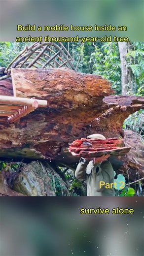 Building a Mobile House in an Ancient Tree: Part 2