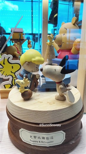 Beautiful Wooden Music Boxes at TPE Airport