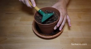 No te pierdas este contenido porque tus plantas lo agradecerán. ¡Seguro!