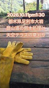 2026.10.11pm1:30栃木県足利市大岩登山道の倒木処理と天空テラスの草刈り #shorts #ボランティア #登山道整備 #倒木 #足利市 #天狗山 #草刈り #mowing