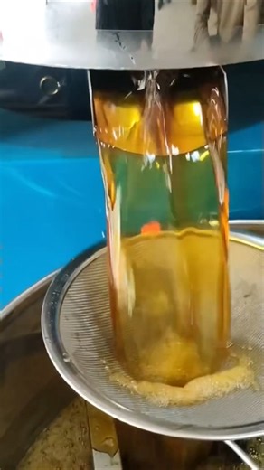Oil Extraction Machine | Turn Sunflower Seeds Into Pure Cooking Oil