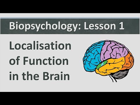 Biopsychology: Lesson 1 - Localisation of Function in the Brain