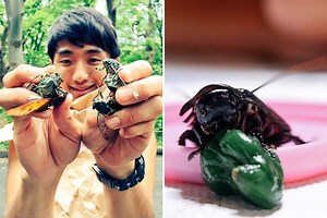 Man 'dates' COCKROACH for a year confessing he ‘fantasised’ about insect sex and shrinking to her size... but ATE her when she died