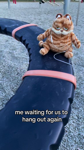 Garfield needs a friend… #garfield #bestie #hangout #missyou #comeover