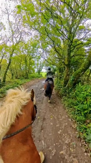Just a bit of hoofbeat sound therapy for you from our recent riding tip in Cornwall, England! 🐴 ❤️ 🇬🇧 #riding #trailriding #trailridingadventures #ridinginstructor #equestrianlife #horsesofinstagram #horserider #ridersofinstagram #cornwallcoast #cornwalluk #cornwalllife | HorseClass