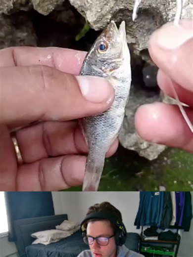 Secret way to rig your live bait! 🤯 | Fishing Bait