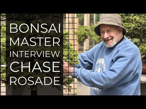 Chase Rosade Bonsai Master Interview