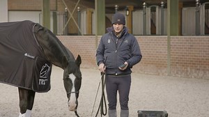 124 reactions · 28 shares | It's natural for horses to find fireworks...