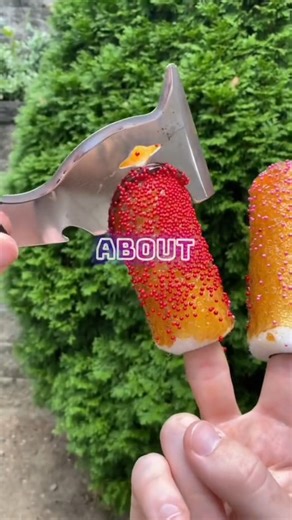 1.1M views · 3.1K reactions | Random facts #randomcuriosities #randomfacts #facts | Amazing Facts | Facebook