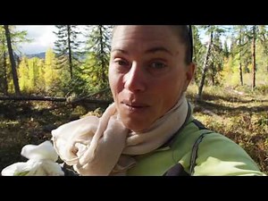 🌎 Traversée du Canada en vélo : Pieds Libres Whitehorse et Cassiar Hwy 👣