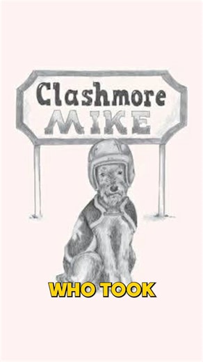 121K views · 2.6K reactions | The OG Notre Dame Mascot ☘️Before leprechauns were throwing up their dukes for the blue and gold, Notre Dame’s fierce mascot was a dog, mainly known as Clashmore Mike. Hear the story from Vince Wolfram along with info on Notre Dame’s newest leprechaun variant. Give Vince a follow on Instagram (vincewolfram) and YouTube (V1NCE) for more videos for all things sports! | The Irish Tribune | Facebook