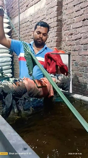 Dana machine chalu karne ka Sahi tarika machine achcha chalate Hain ki nahin chalate plastic seconda