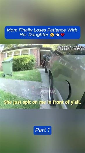 Insights from Police Body Cam Footage