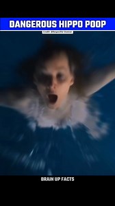 123K views · 536 reactions | Stay Away From Hippo Poop #reelsfb #trandingreels #reelsinstagram #reelschallenge #factsinhindi #viralfacts #facts #factsonly #reel | Facts Flying | Facebook