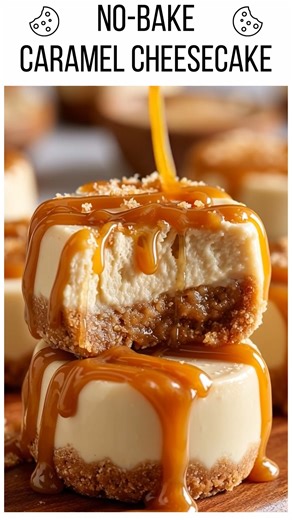 2.4K views · 16 reactions | no-bake caramel cheesecake | Easy No Bake Cookies | Facebook