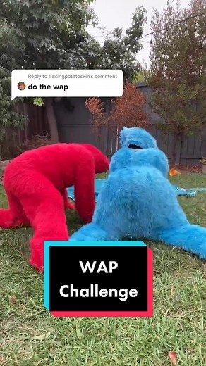 Elmo&Cookie (Official Account) on TikTok