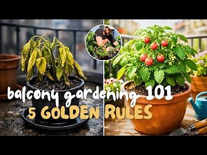 Balcony Gardening 101: The 5 Golden Rules for Growing in Pots
