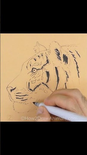 Tiger Sketch (Pen and Markers)