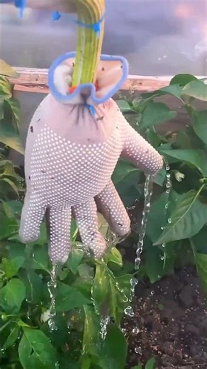 City survival farming made simple 🌱💪🏢 #urbanfarming #greenliving