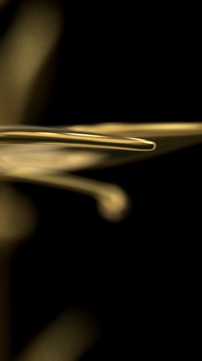 Frohe Weihnachten – Happy Holidays! ✨🎄 With this traditional Austrian Christmas carol, we wish you and your loved ones Merry Christmas and Happy Holidays from all of us at the Vienna Philharmonic! 🎶 . . . #ViennaPhilharmonic #MerryChristmas #happyholidays 🎬: Tyrolian Christmas carol “ Hiatz kimmt die heilige Weihnachtszeit“, performed by our Academists Julian Ritsch (Trumpet), Alberto Bonillo Losa (Trombone), and Thomas Steinwender (Horn) | Vienna Philharmonic / Wiener Philharmoniker