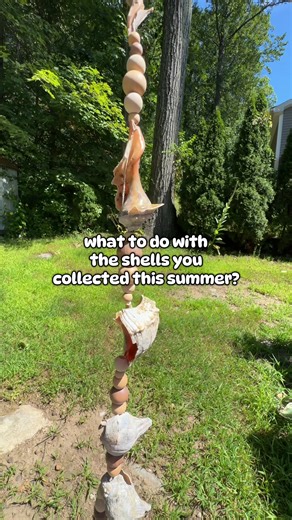 Creative Shell Crafts for Your Summer Collection