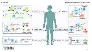 Cell-Based Therapies for Neuromuscular Diseases