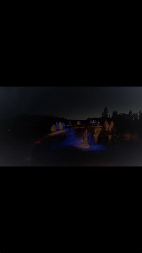 1K views | Wrap your outdoor trees in sparkling lights that bring magic to your entire yard. Our expert installations create a festive glow that transforms any space into a holiday wonderland. Celebrate the season surrounded by warmth and light. | Christmas Decor | Facebook