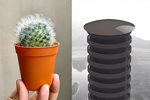Water Spike : 4 étudiants français inventent un récupérateur d'eau atmosphérique inspiré des cactus