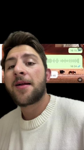 Interactive Voice Messaging Demo with Unique Interface