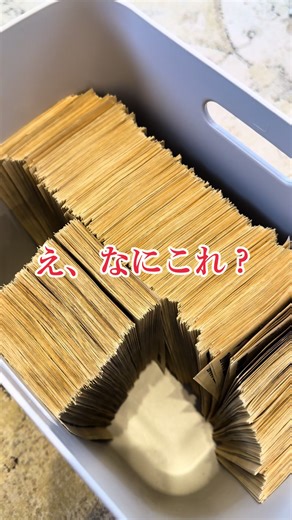 #マツダ家ボイス #何これ #ナニコレ珍百景 #ナニコレ劇団 #ナニコレ