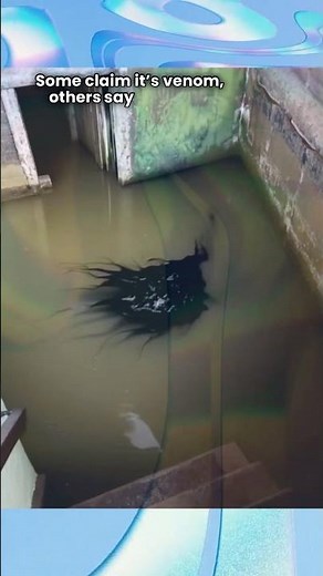 Venom-Like Creature Really Found in Water or Fake Hoax? | Panama Alien Meteorite Mystery Revealed!