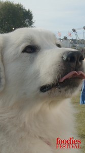 Chart topping artist at Foodies Festival St Albans 30 May - 1 June 2025. Secure your tickets now! 北壟  Live Music Line-Up  Blue  Example  Symphonic Ibiza | Foodies Festival | Facebook