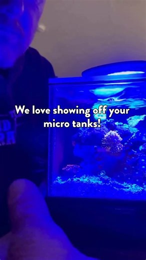 7.7K views · 562 reactions | Nothing makes us happier than seeing your micro reefs come to life  Every tank shows the creativity and care of this awesome community. Want to be featured next? Tag @pnwcustom in your micro tank posts: let’s keep inspiring each other to make the reef world brighter and better together! | PNW Custom | Facebook