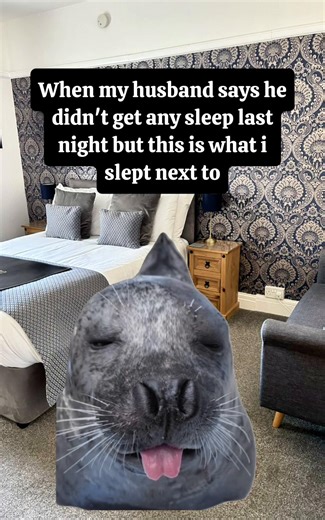 Hilarious Truth About Ear Plugs and Everyday Life