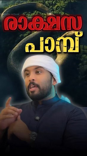 86K views · 1.3K reactions | Is TITANOROA still alive or not..? #anaconda #snake #forest #wildlife #santuary #wild #animal | Noufin Ell | Facebook