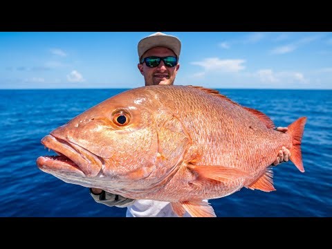 The MOST Prized Fish in the Dry Tortugas *Mutton Snapper Catch Clean Cook*